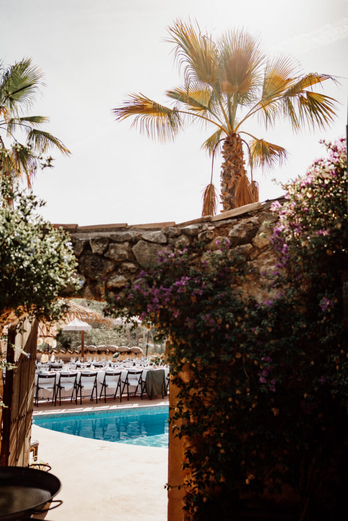 Palm tree above a flower-covered stone doorway leading to the pool
