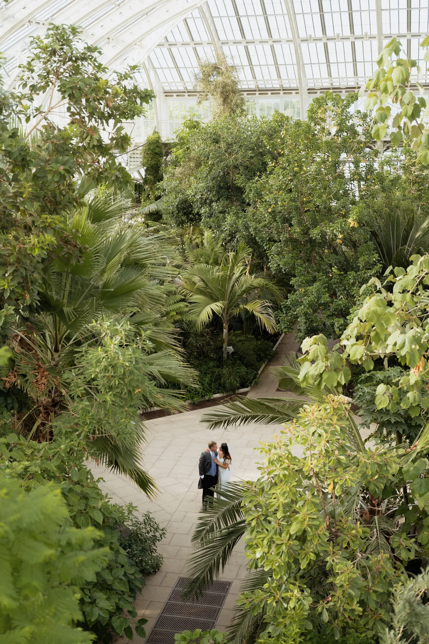 Couple surrounded by greenery in a glasshouse